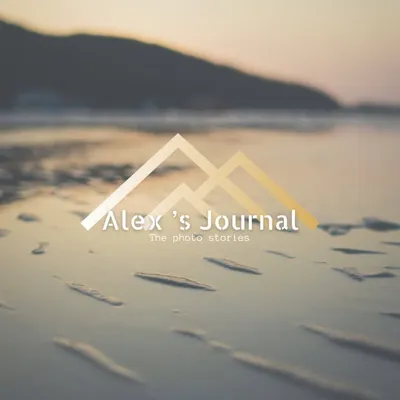 Alex’s Journal profile