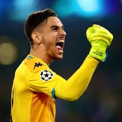 Alex Meret profile
