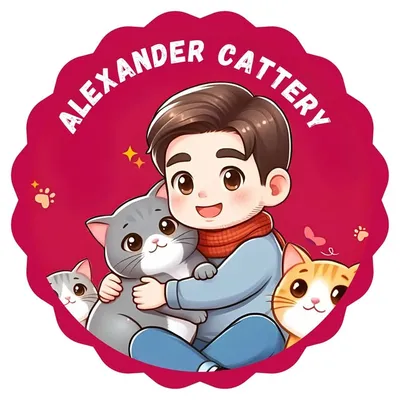 Amiruddin Isa & His British Shorthair Cats profile