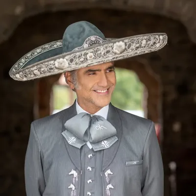 Alejandro Fernández profile