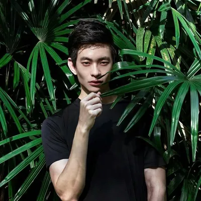 ◆ Alex Phuah ◆ profile