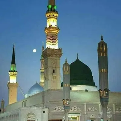 الحرمين الشريفين profile