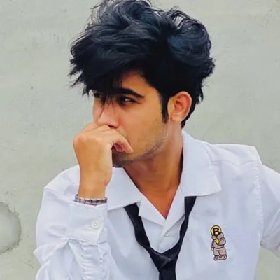 Zayn profile