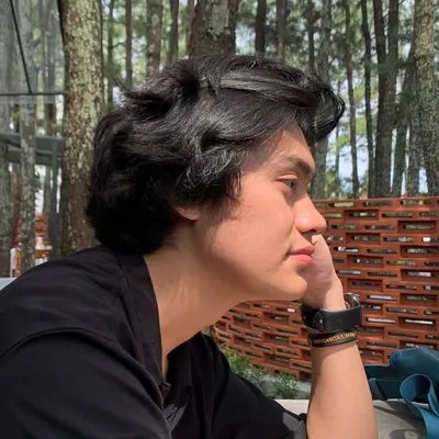 Aliansyah T profile
