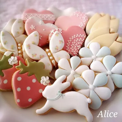 Alice (アリーチェ) / Asako Nishioka/西宮市アイシングクッキー教室 profile
