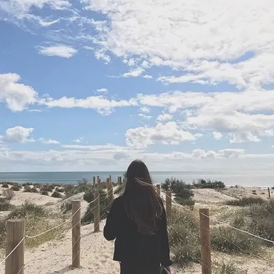 Alice Birrell profile
