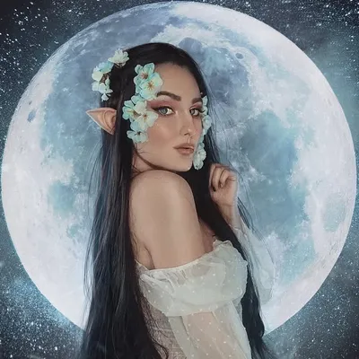 Alιѕα Vαleevα profile