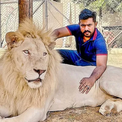 ALi Khan AK ® 🦁 profile