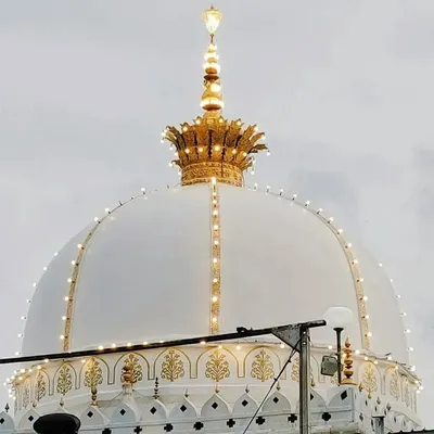 syed saheb ali profile