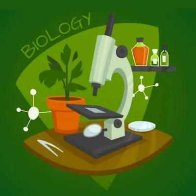 Biología 5to año⛅ profile