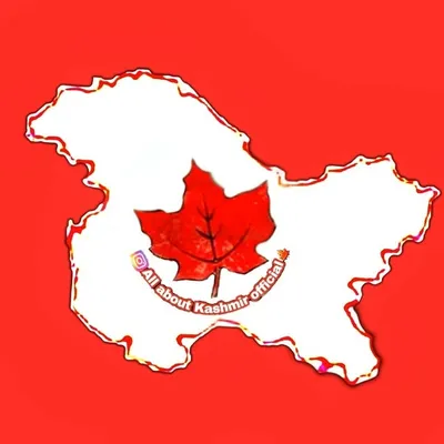 All about kashmir official🍁 profile