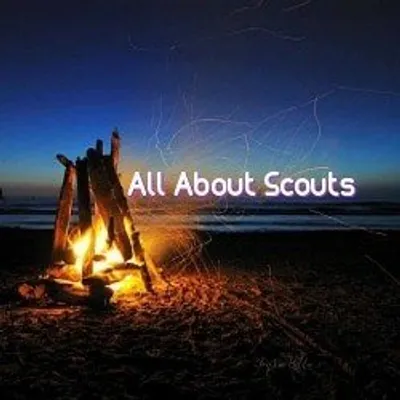 All About Scouts! profile