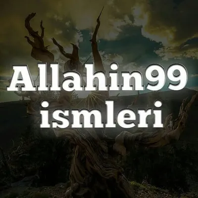 Allahın99ismleri profile