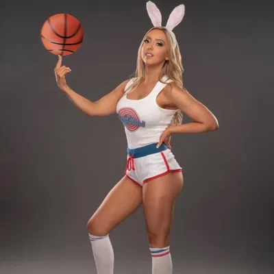 The Bunny ๐๐ช profile