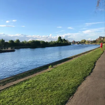 All things Surbiton profile