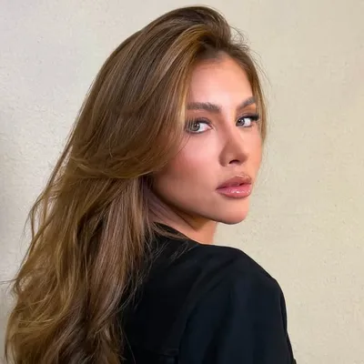ALLY profile