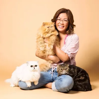 Aloha ๐บ Persians profile