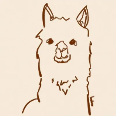 Alpaca Collections — Since 2010 — profile