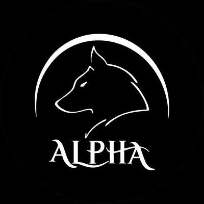 🐺Alpha | آلفا 🐺 profile