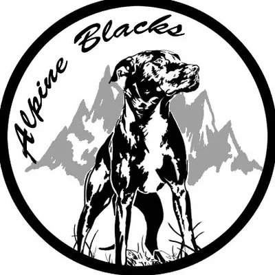 🐗Alpine Blacks🐗 profile