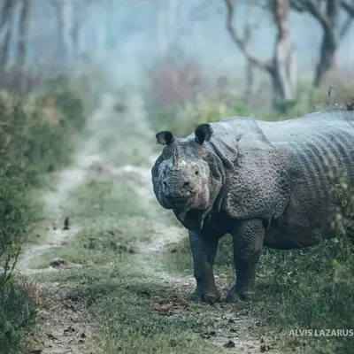 Wild Photography profile