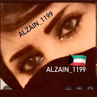 الـــزيـــنـة الملكـــه 🌸💜 profile