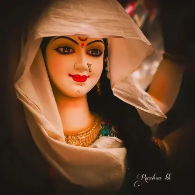 👑Aman khalnayak👑 profile