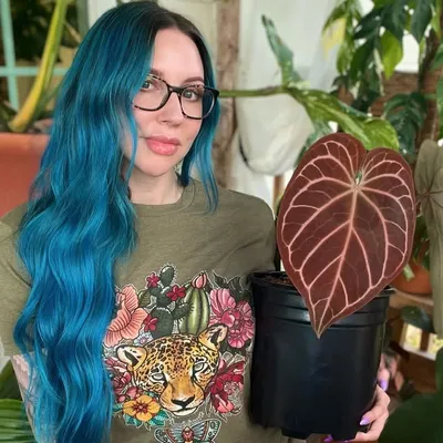 Amanda 🌿 houseplants & good vibes profile