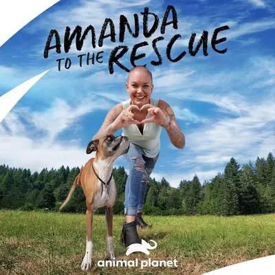 Amanda To The Rescue profile