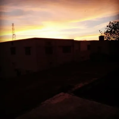 Aman Pandey profile