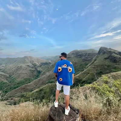 w a y f a r e r A M N profile