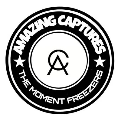 Team Amazing captures profile
