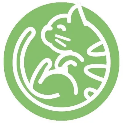 Amazinglycat | Fun cat toys 🧡 profile