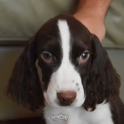 Ambers World profile