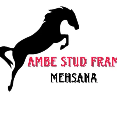 Ambe Stud Fram Mehsana profile