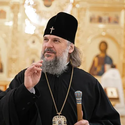 Metropolitan Ambrose profile