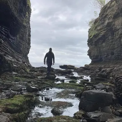 Alasdair McKenzie profile