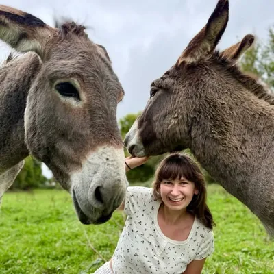 Amelie ✨ Tiermedizinstudentin 🩺 profile