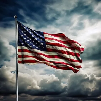 America Aale🇺🇸 profile