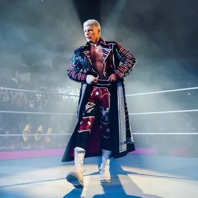 Cody Rhodes profile