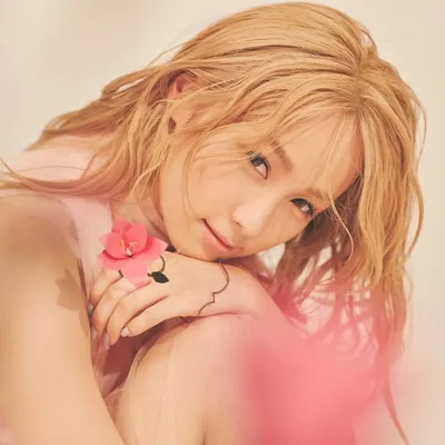 Dream Ami profile