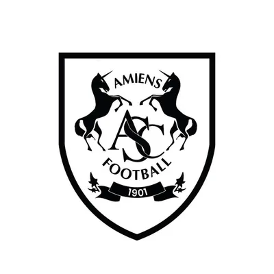 Amiens SC profile