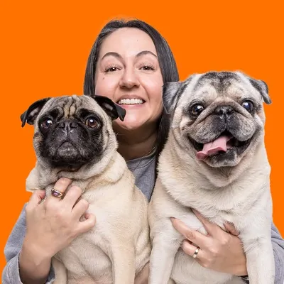 Amigo Pug | Por Francine Ther profile