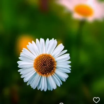 ๐ผ๐๐๐๐๐ ๐๐ ๐๐๐๐ผ๐๐ผ profile