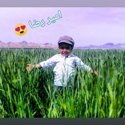 amirraza-00 profile
