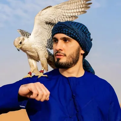 Amir Allahverdi profile