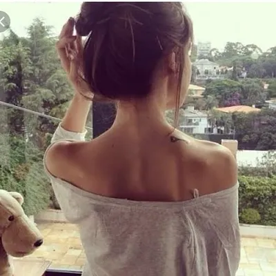 โดโฉ ๐ ๐ต๐๐๐๐๐๐ป๐๐๐๐๐ ๐ โฉโด profile