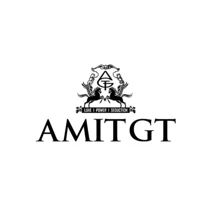 Amit GT profile