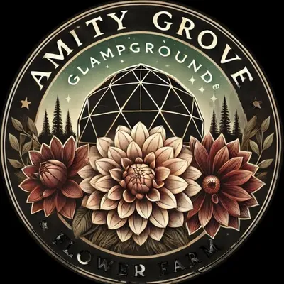 Amity Grove profile