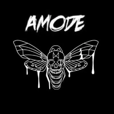 A M O D E C L O T H I N G profile